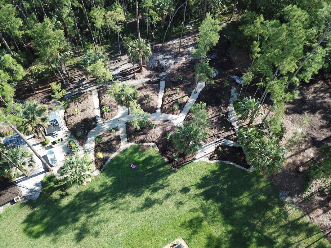 Food forest aerial view