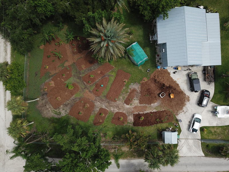 Food Forest Drone Shot