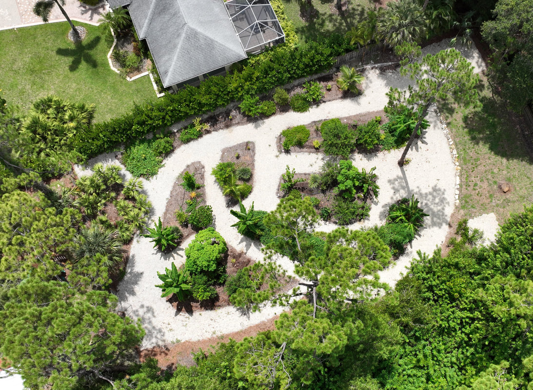 Aerial view of a food forest