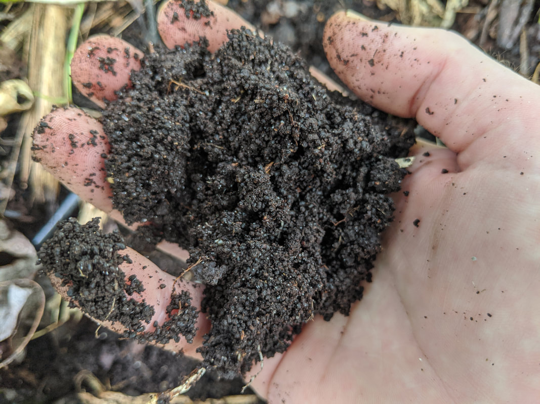 Rich food forest soil